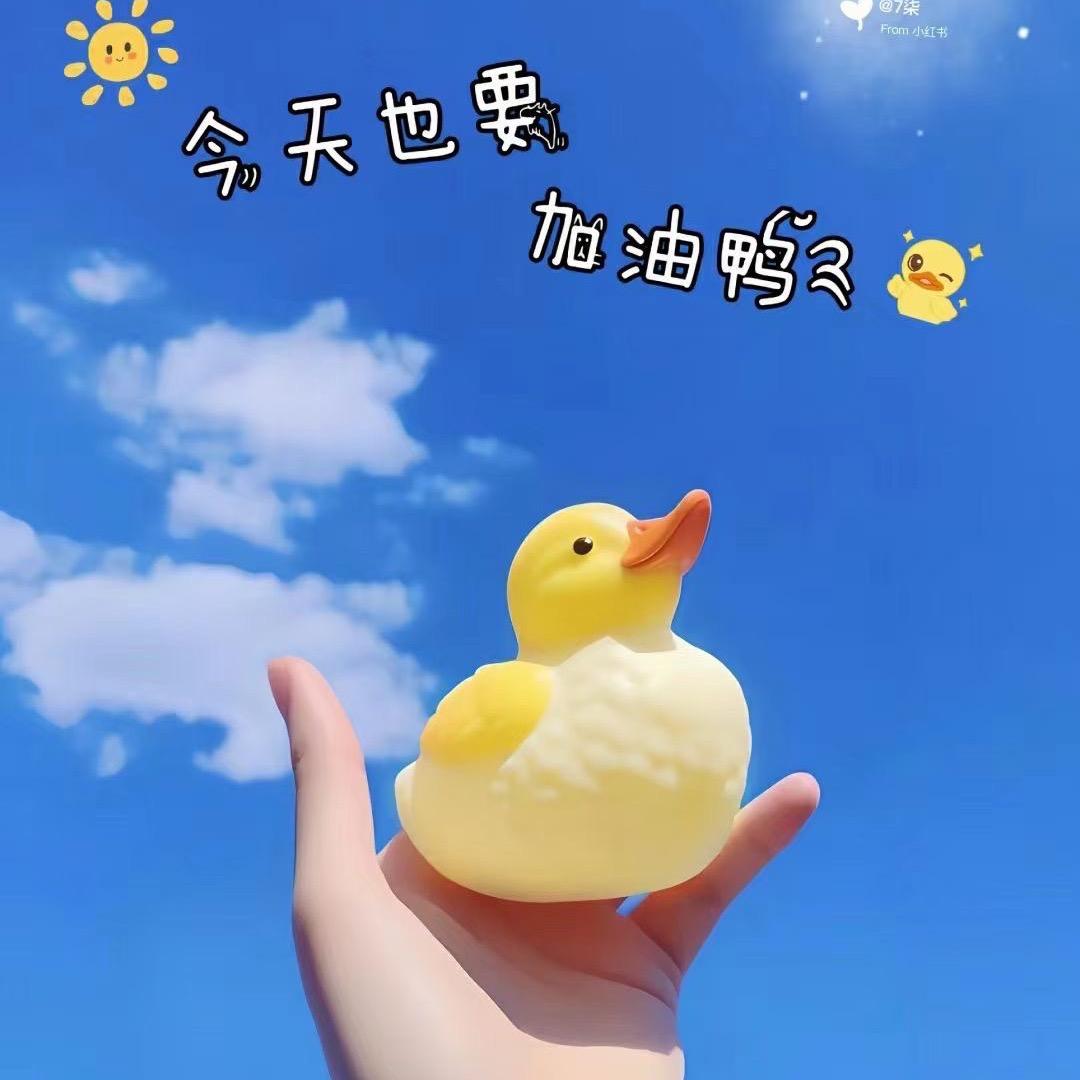 莎莎