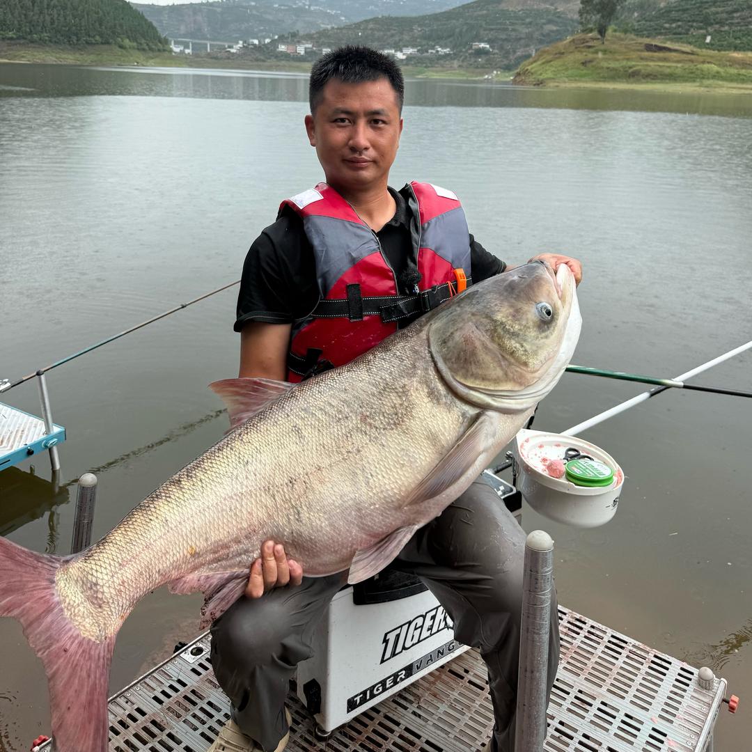 黄成龙