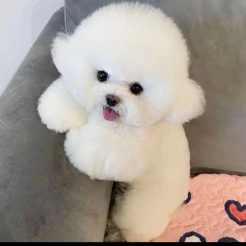 潇潇❤️爱你们