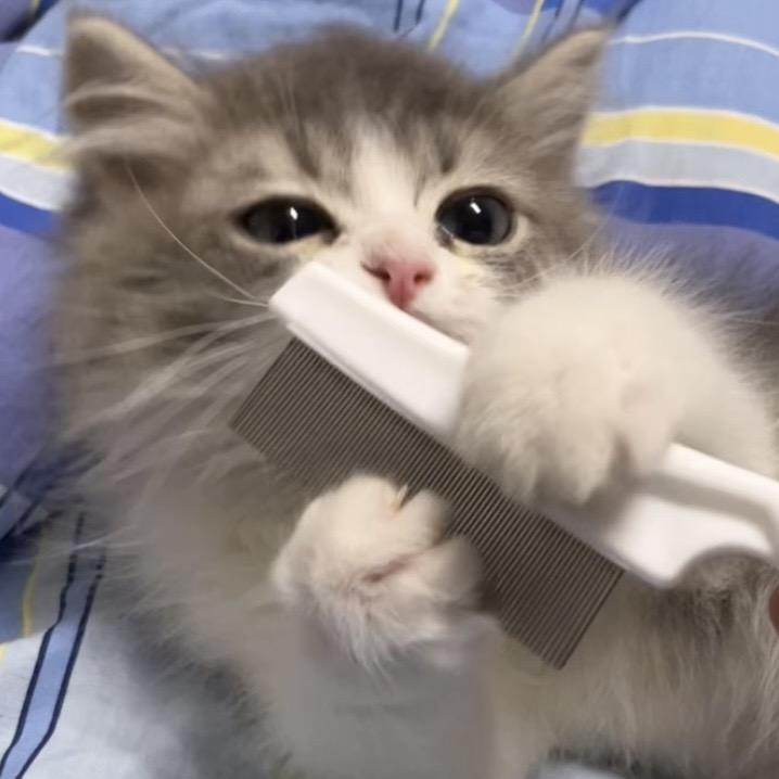 奶糕他妈