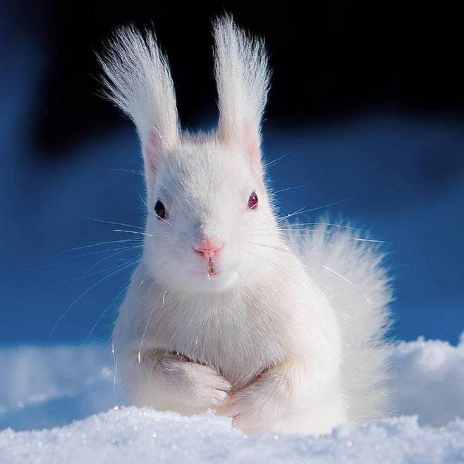 🌈rainbow盐儿😆