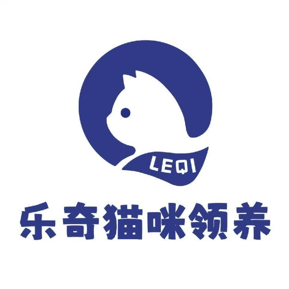 乐奇猫咪领养-重庆