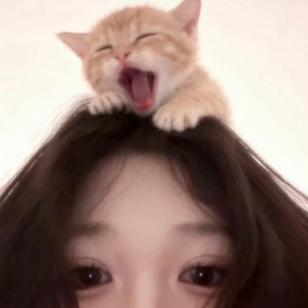 零碎小雨