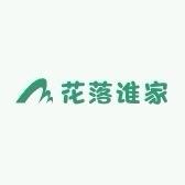 花落谁家 永生花