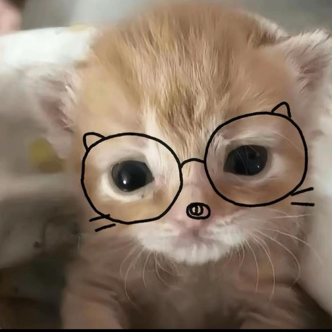 萌愛🐾