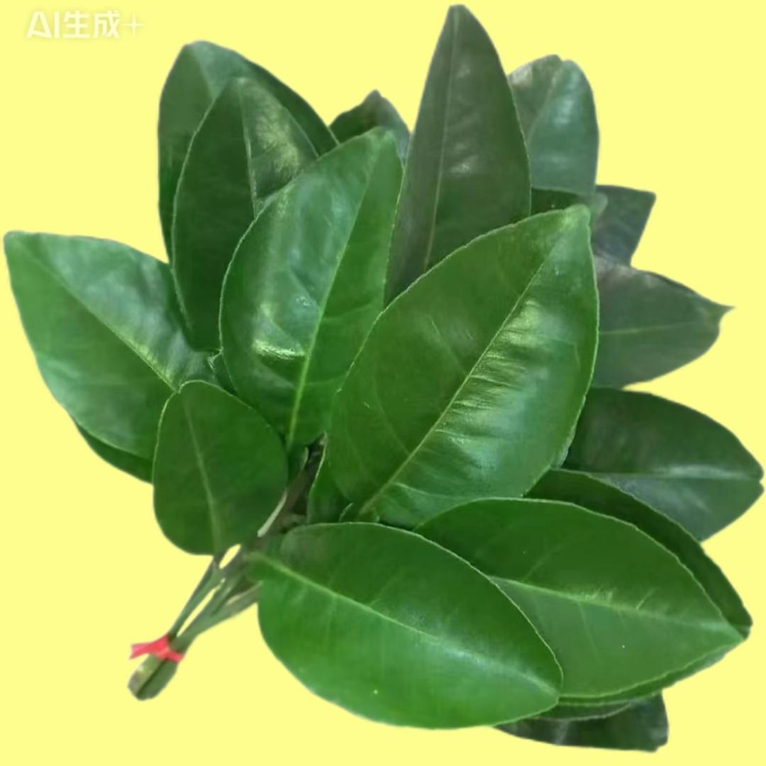 小太阳（好物分享）