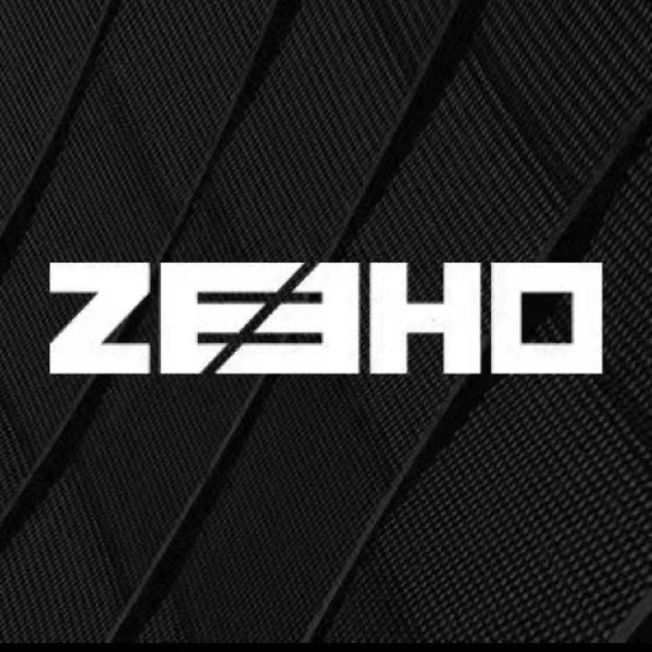 ZEEHO极核电动-中山泰丰店