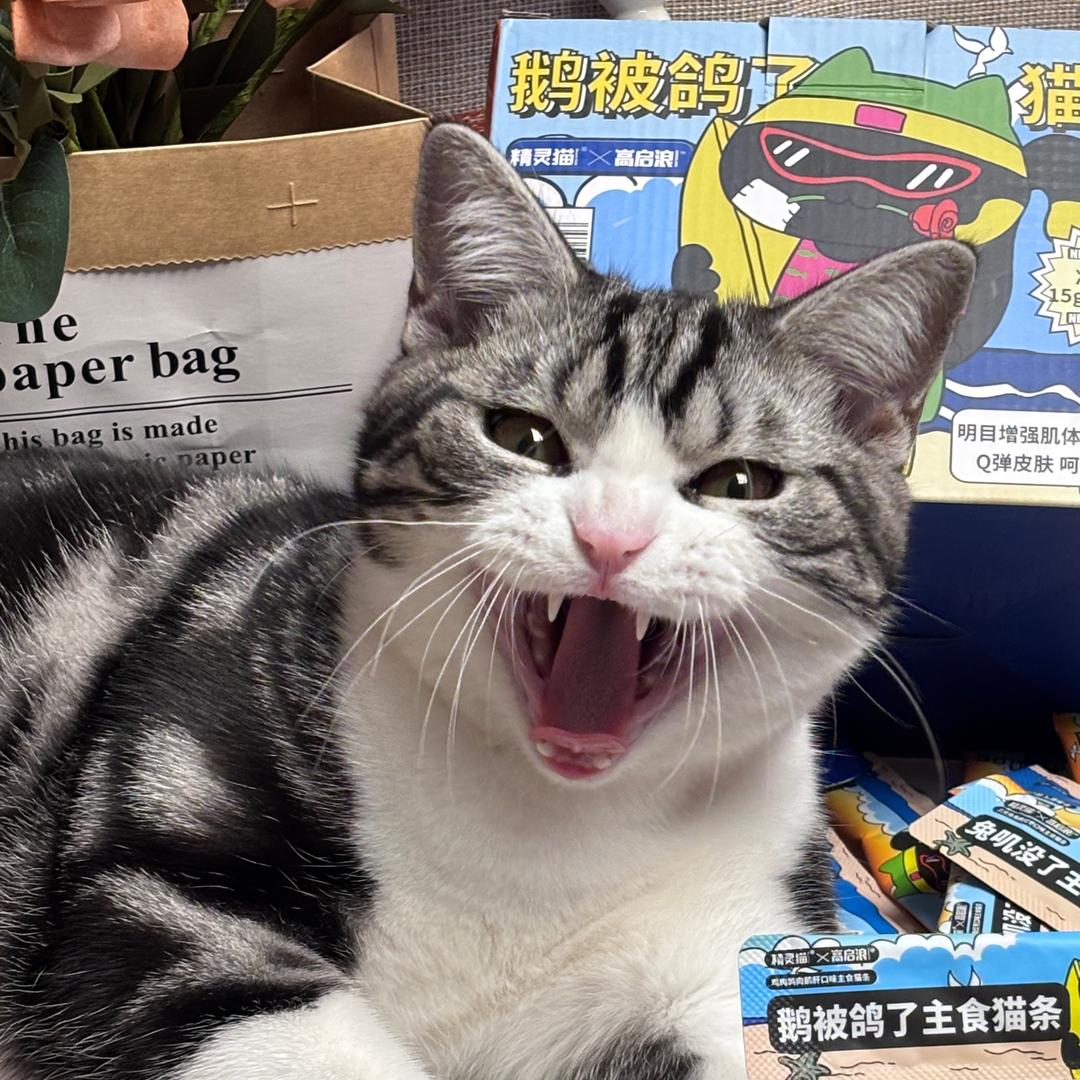 奶酪🧀强制爱饭团🍙