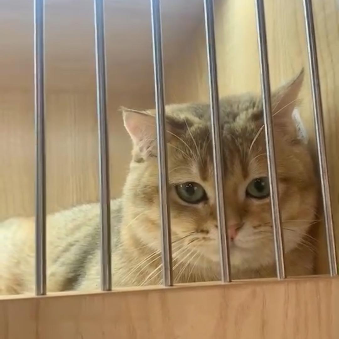 营门村阿弘