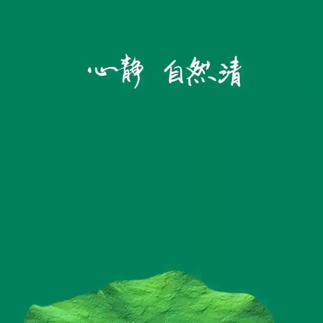 金猪老师