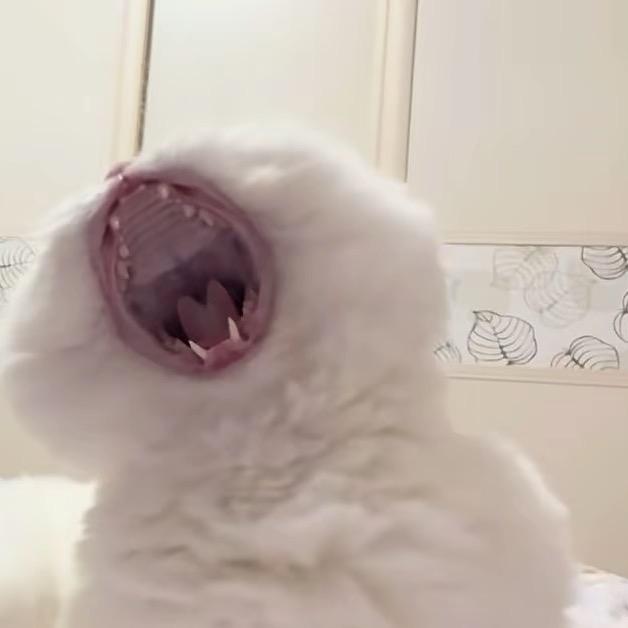 c婷