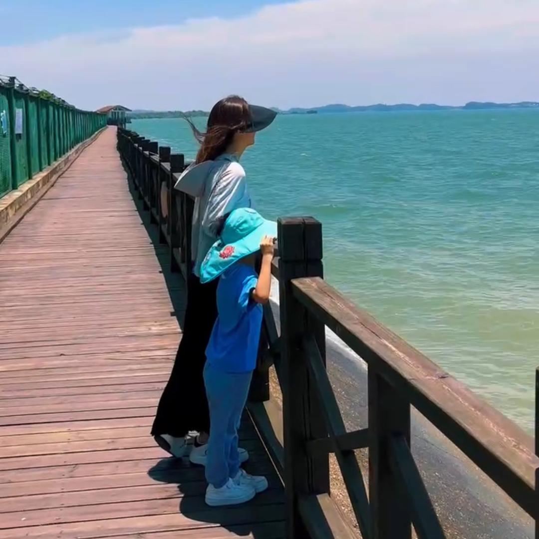 鱼摆摆🐟🐟