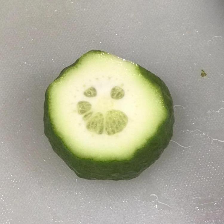 菜苂🔪