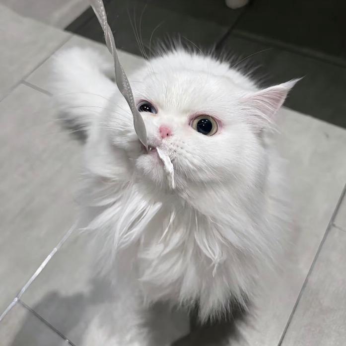 话梅吃多粒