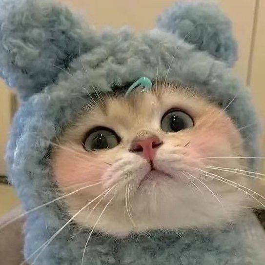 王册册啦啦啦