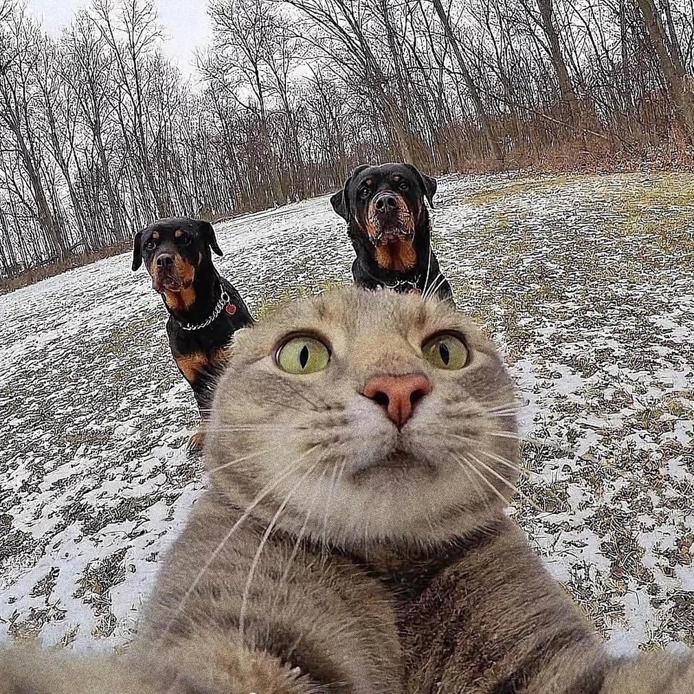 每天睡满八小时