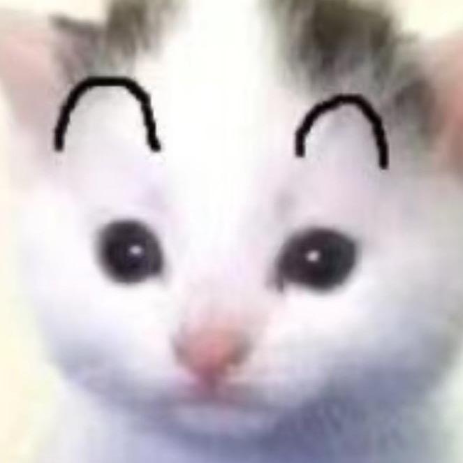 美眉