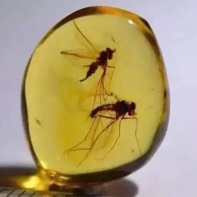 心韵珠宝二号