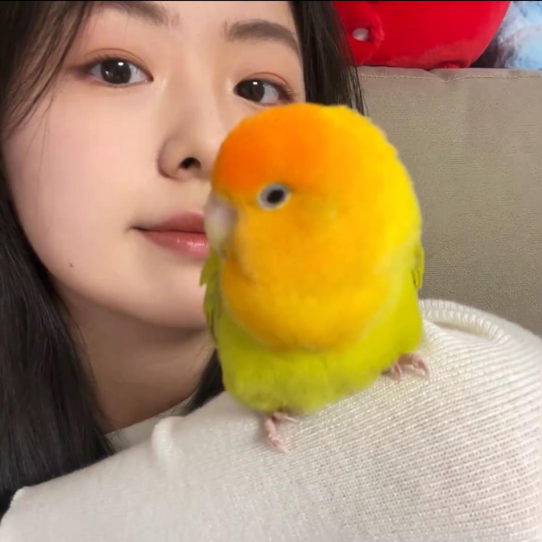忆时光吖