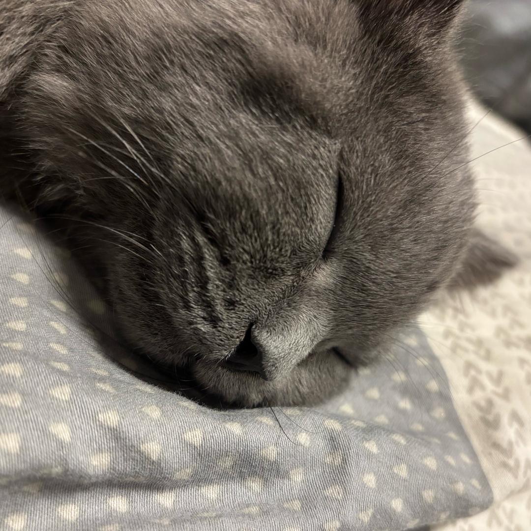 奈_