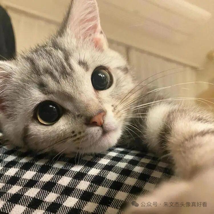 小简