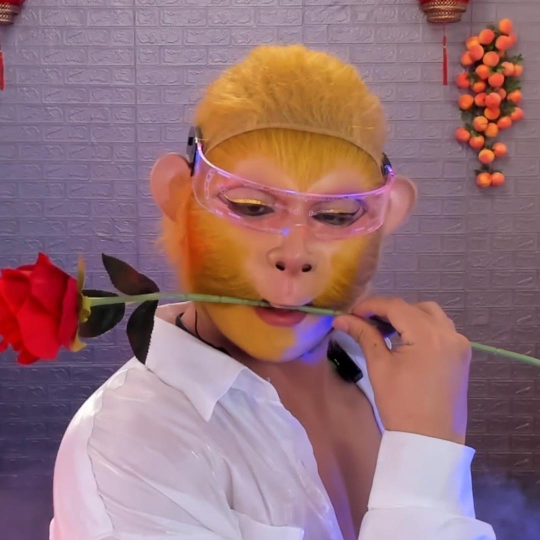 加班猴小李