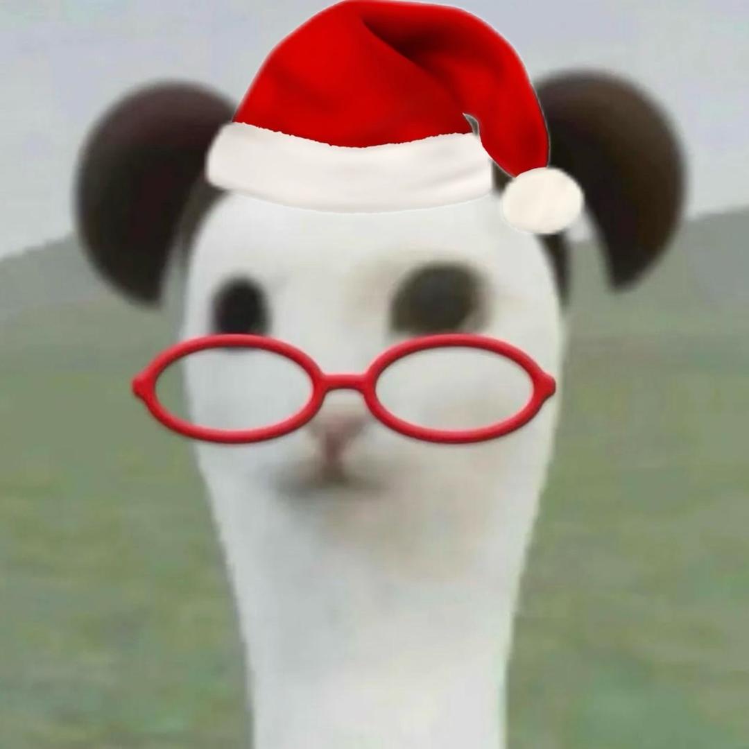 呆。
