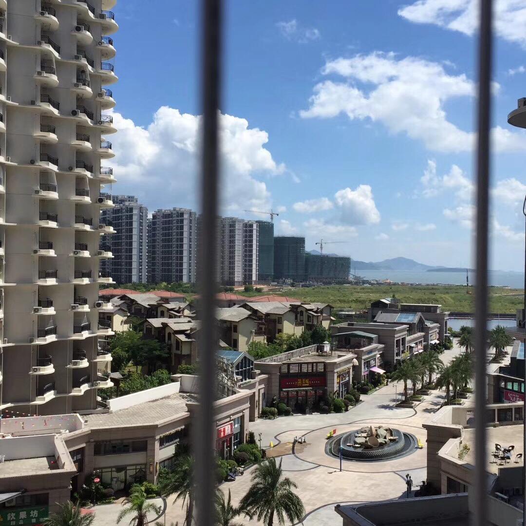 清晨的山茶花