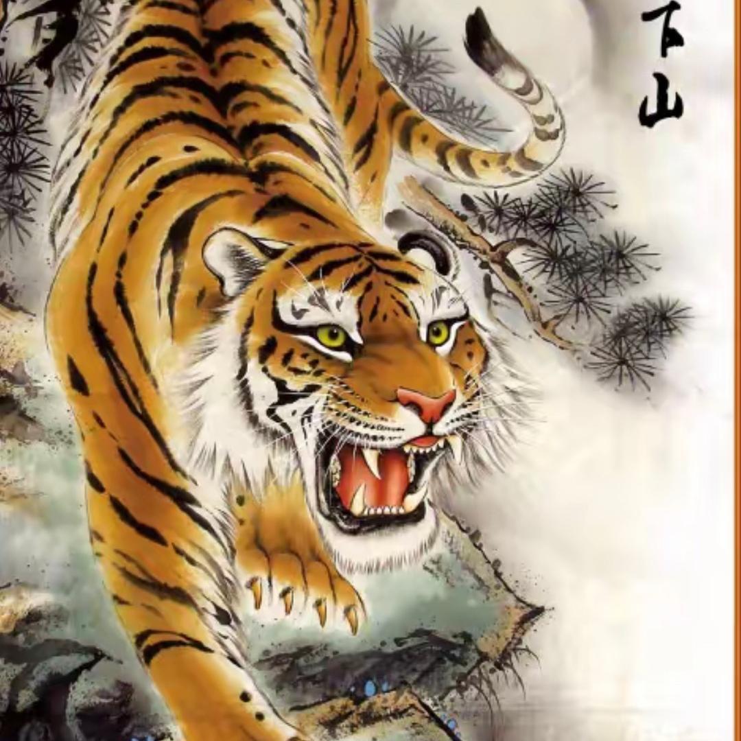 鹏城阿虎