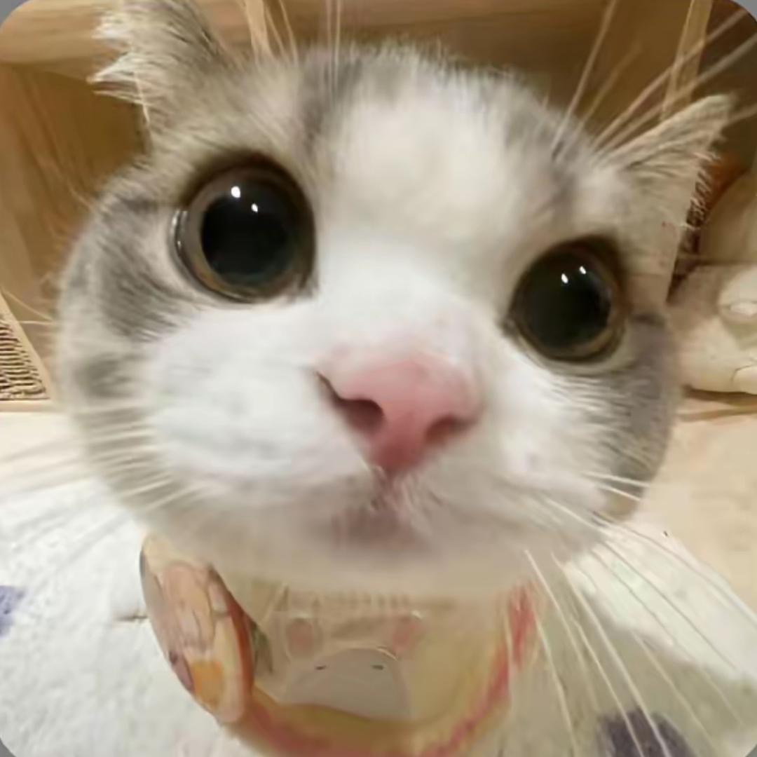 冰淇淋