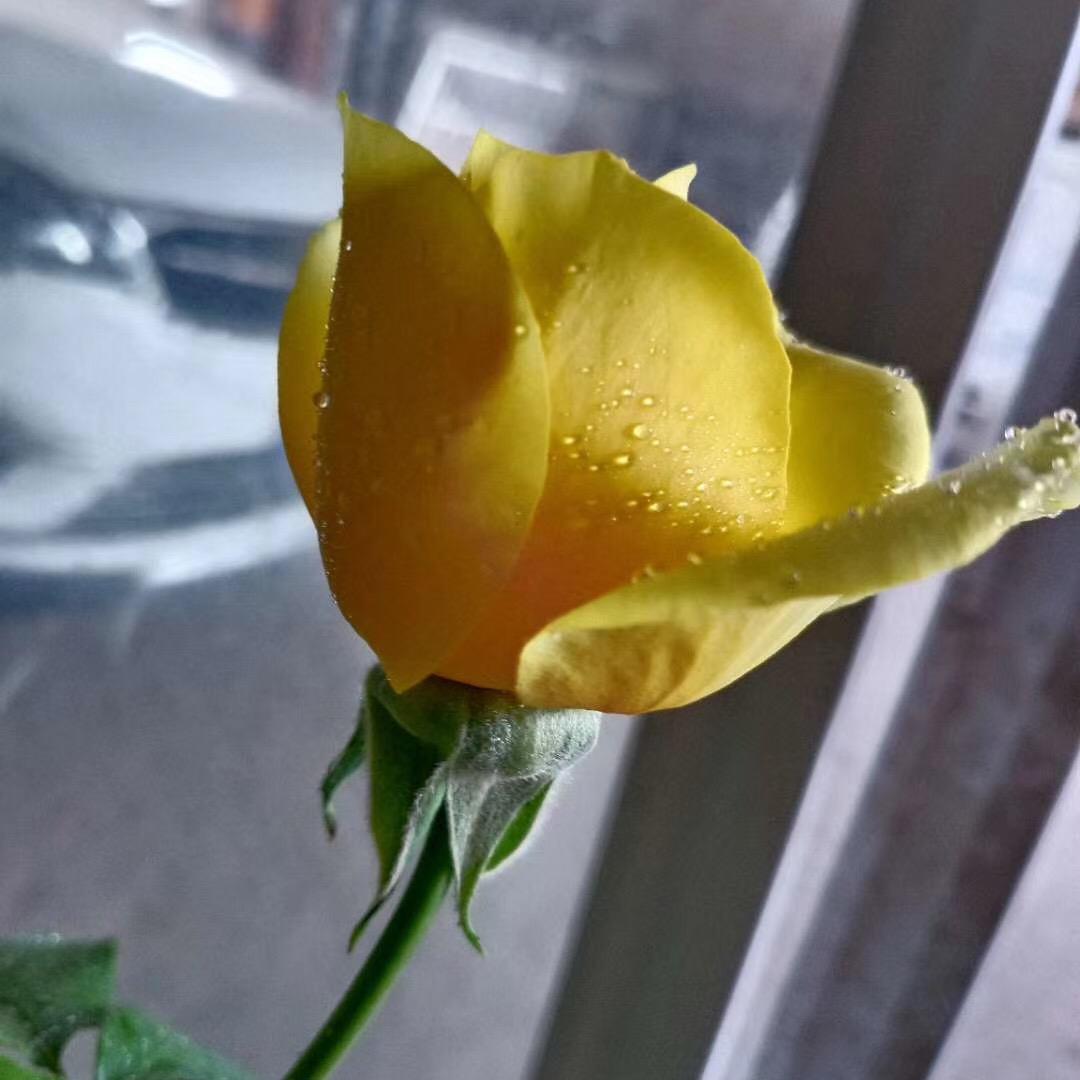 我是小天使