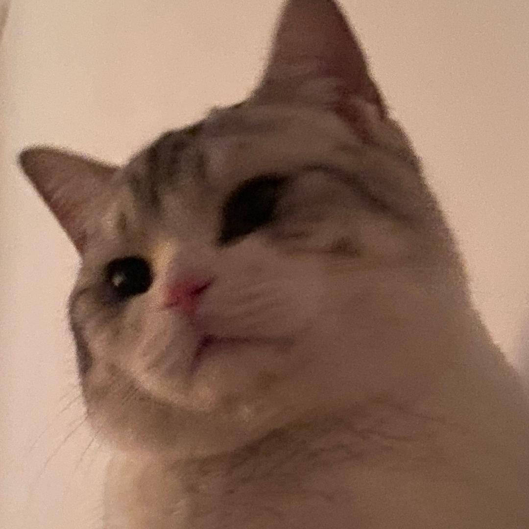 慢姐