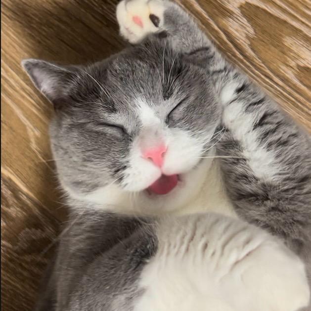 墩墩日记（妹妹是兜兜）