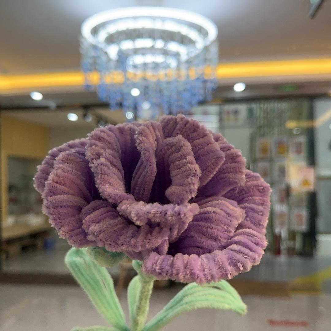 清浅