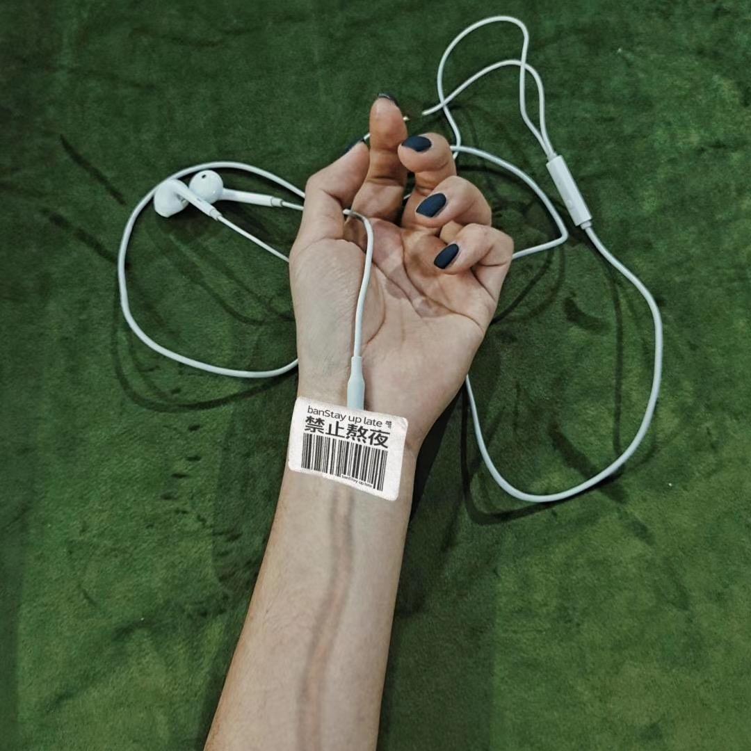 @胖嘟嘟的小李子