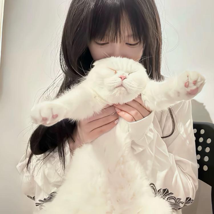 小芮.