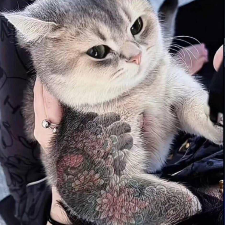 把黑暗交给星光.