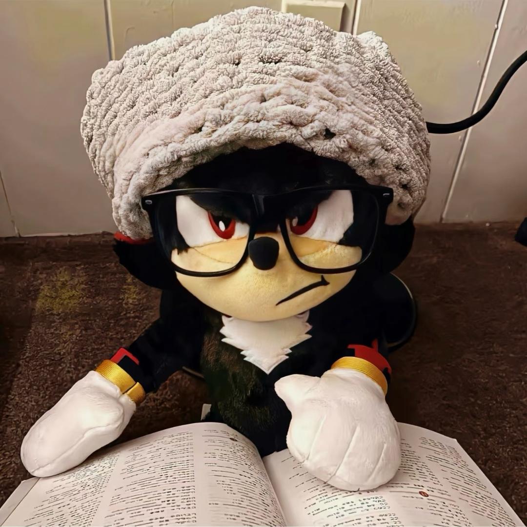 这个秋天见一面