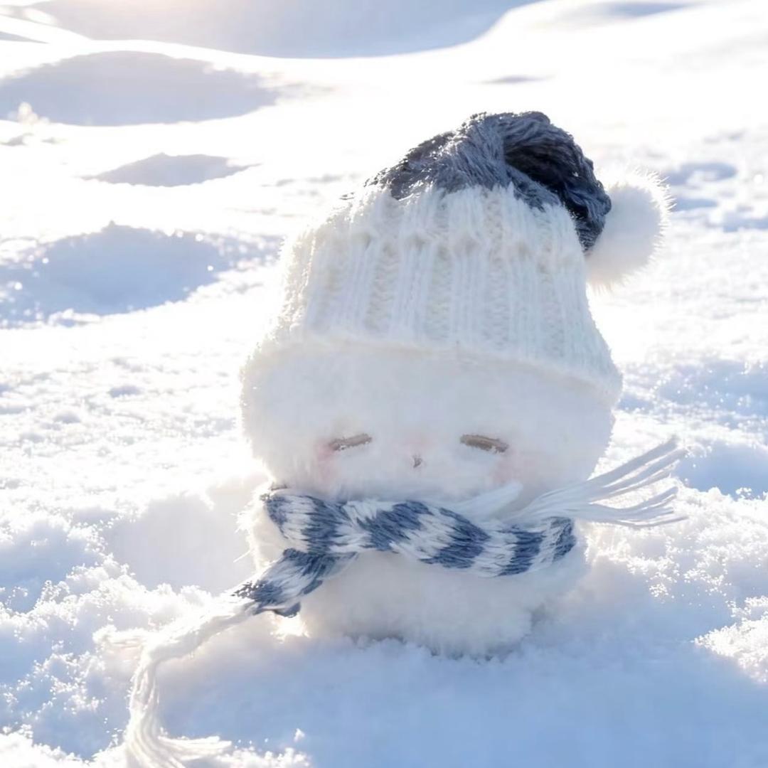 可以上一休六吗