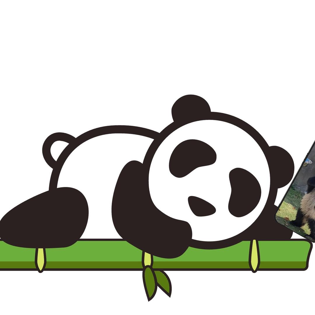 熊二壳壳