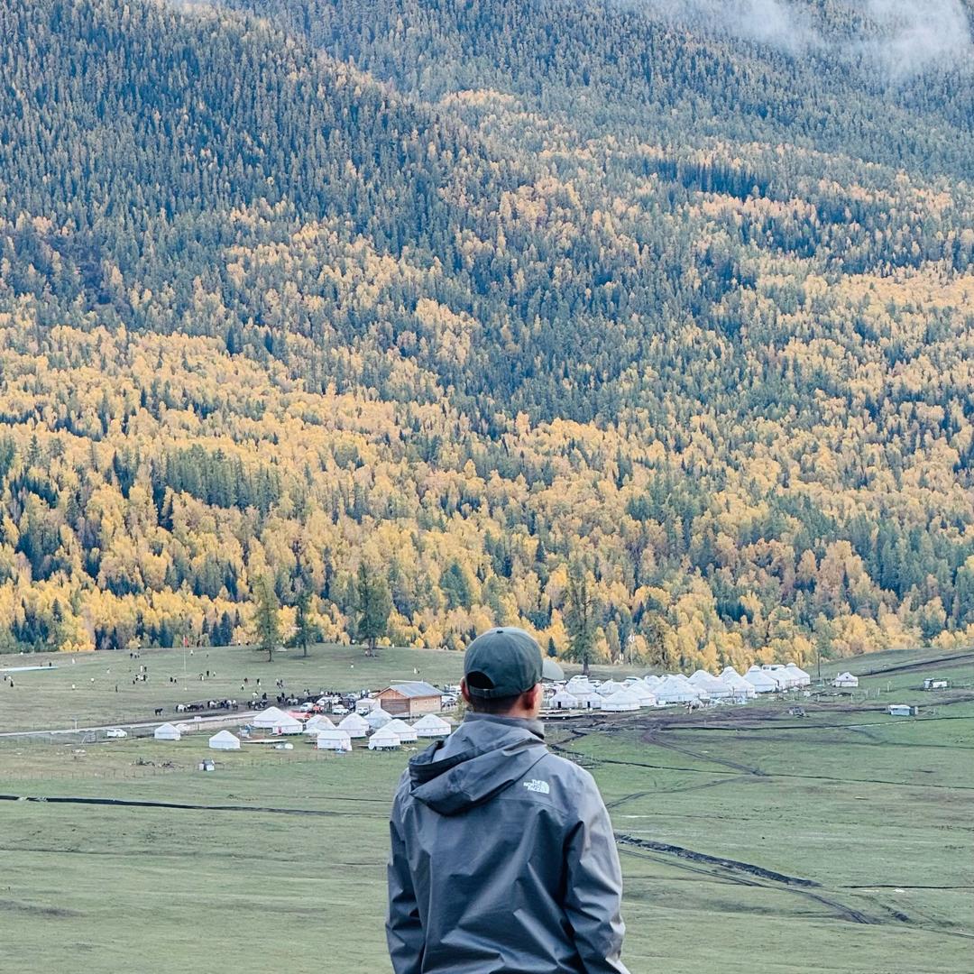 提拉米苏（心灵导师）