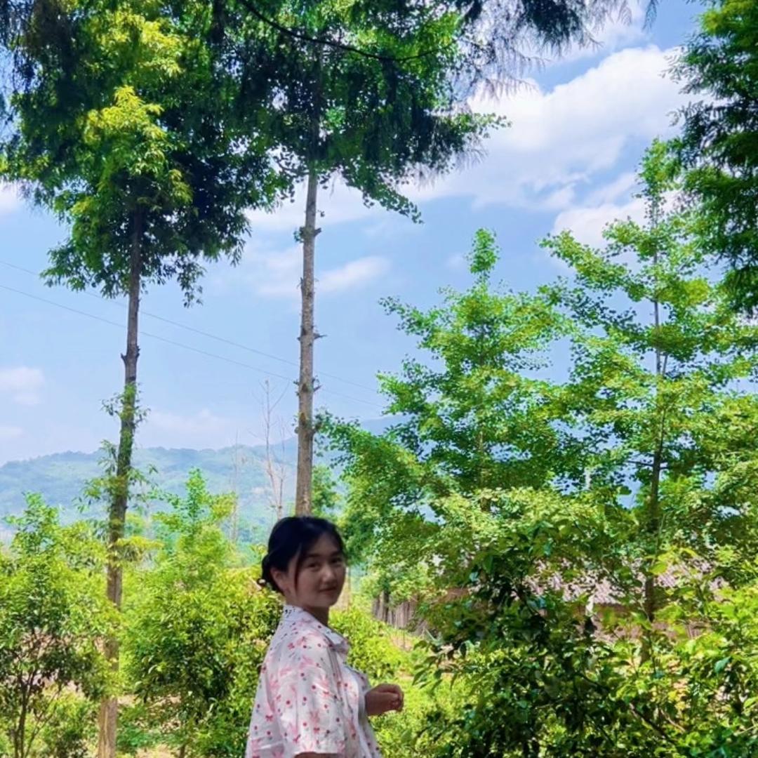 就是陈小姐、