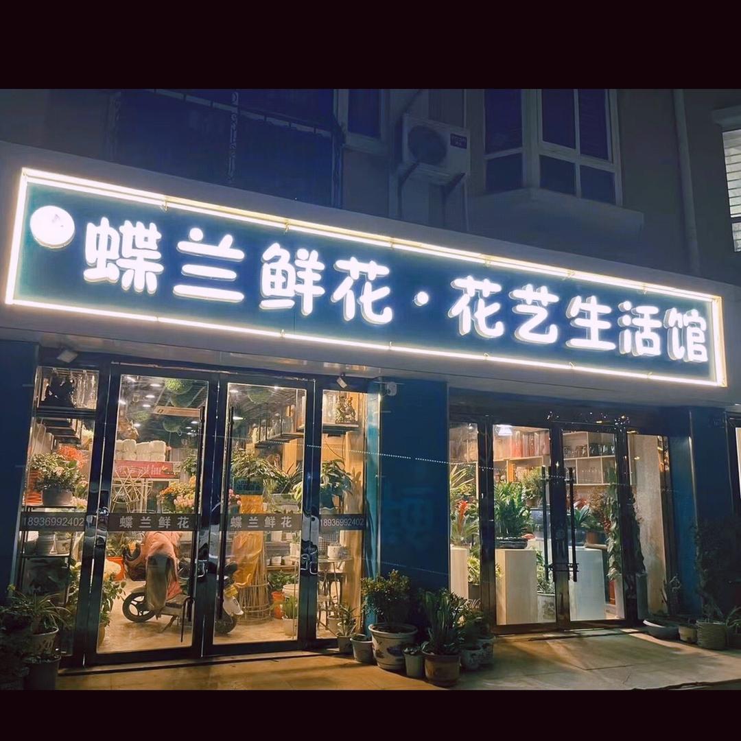 蝶兰鲜花.花艺设计