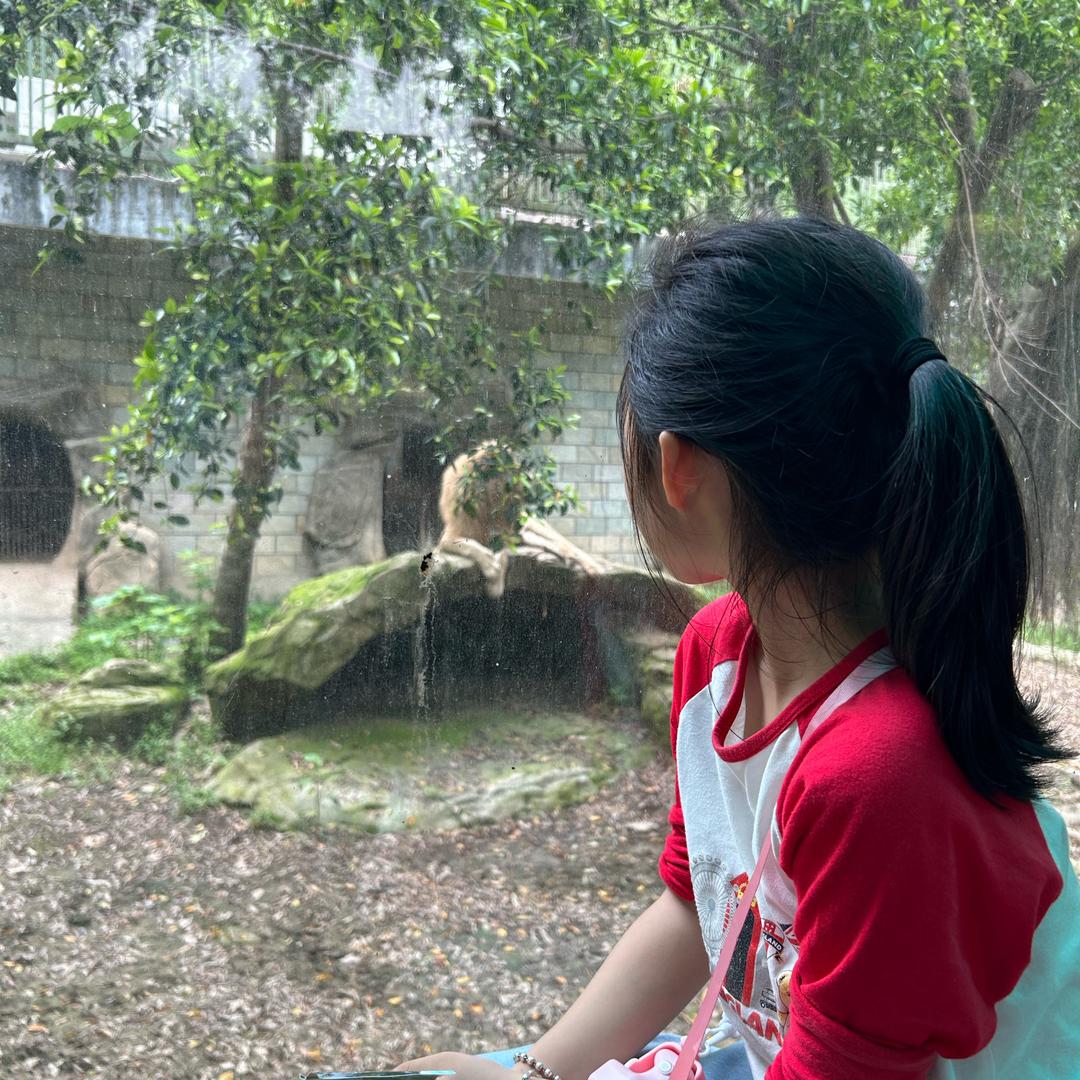 许妈大同学