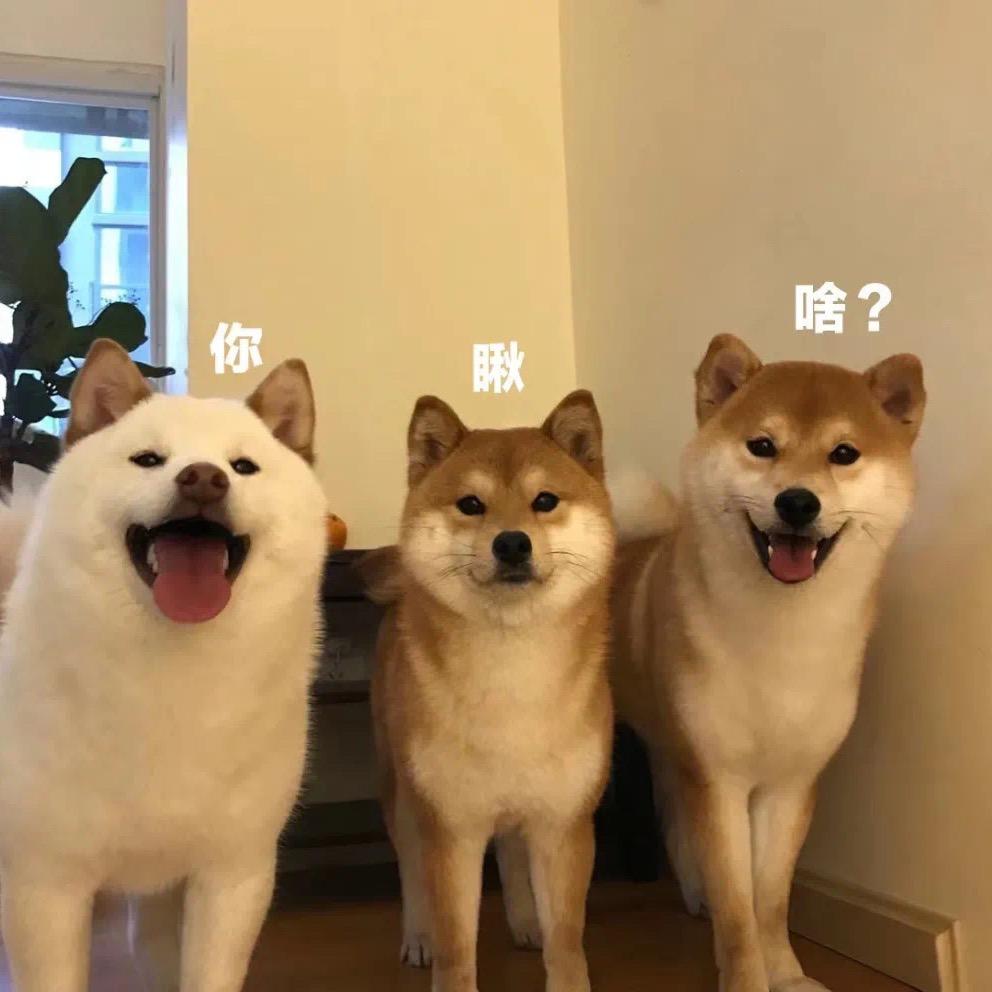 乐鸿商贸