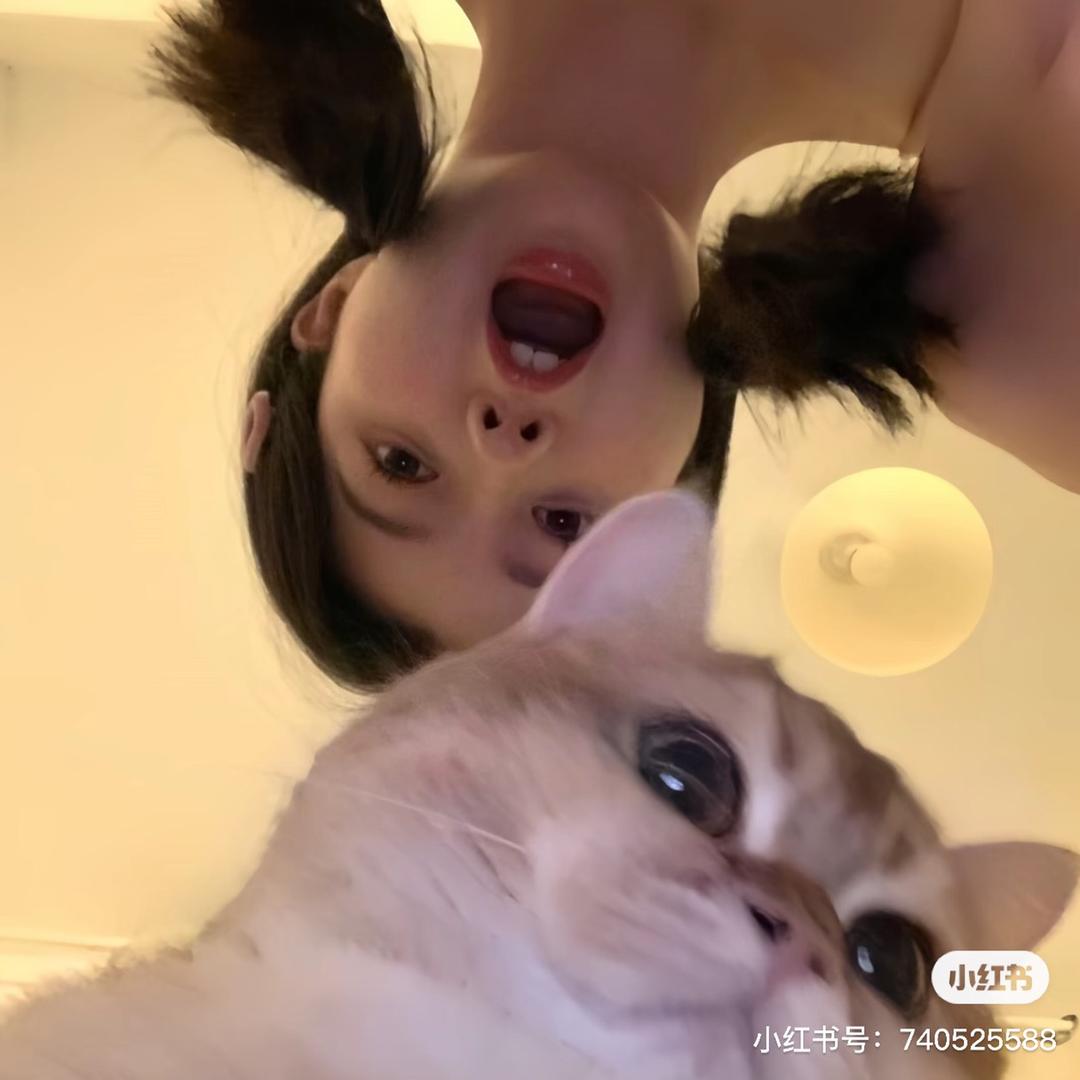 鱼鱼鱼鱼