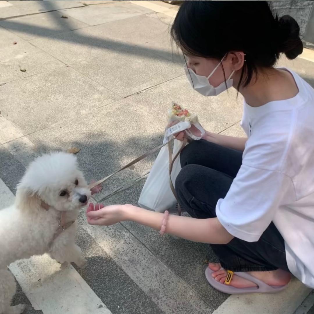 发什么呆