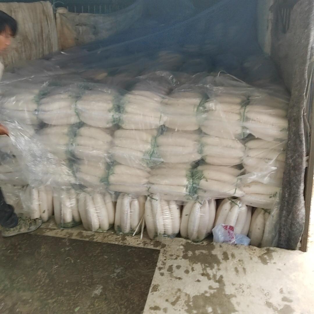波波［川渝基地萝卜玉米直供］