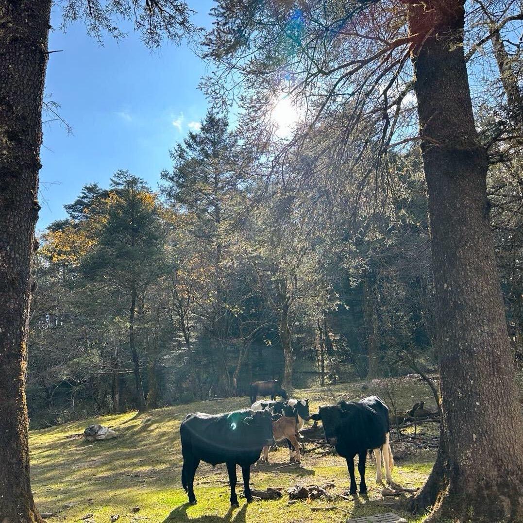 虾虾-中式美睫 美甲