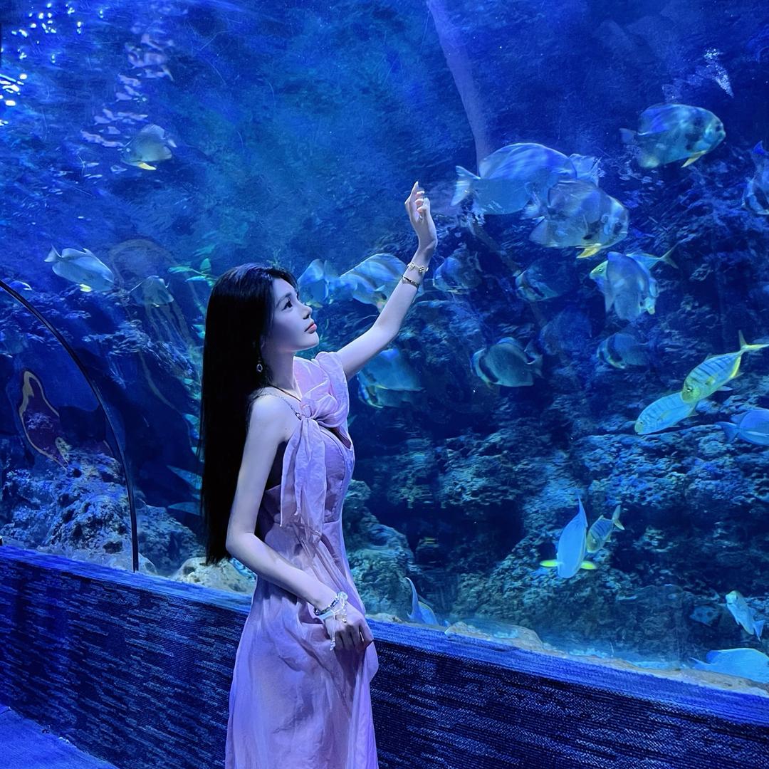 王赵芋泥⁸¹⁵